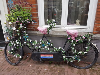 Amsterdamas, gėlės, dviratis, dviratis, gėlė, lauke, Vazonas