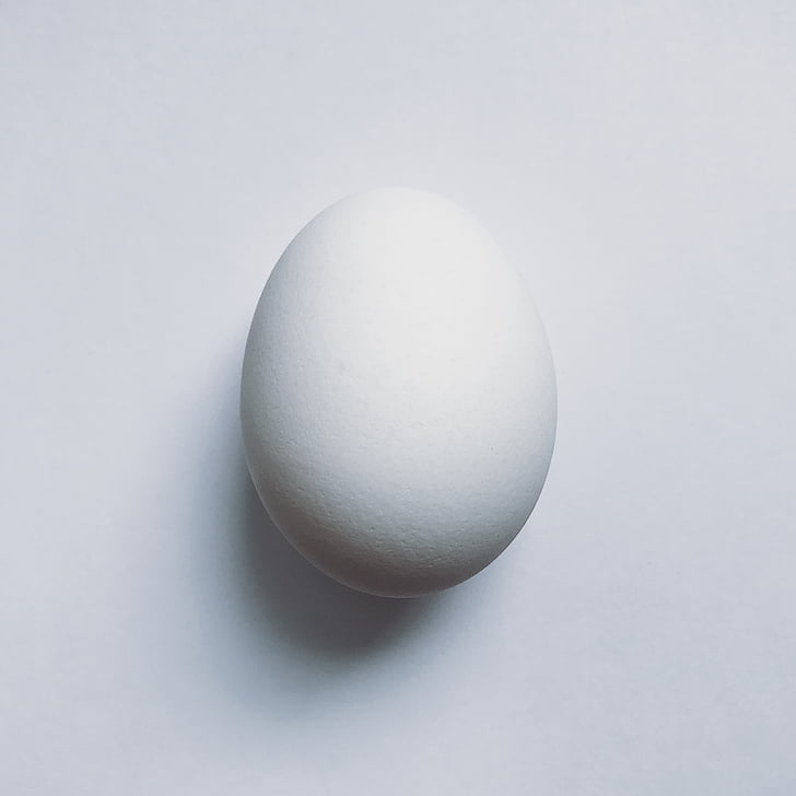 egg, mat, protein, hvit, Studio skudd, enkelt objekt, hvit farge