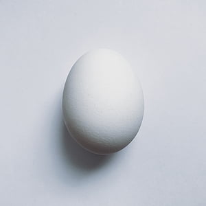 vajíčko, jídlo, bílkoviny, bílá, Studio záběr, jeden objekt, bílá barva