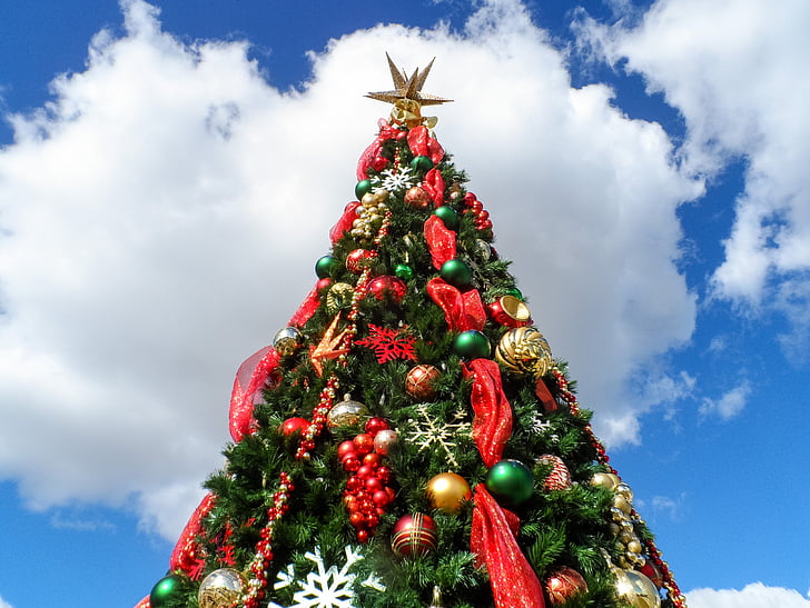 Sapin de Noël, Christmas, vacances, Xmas, vert, x-mas, décoré