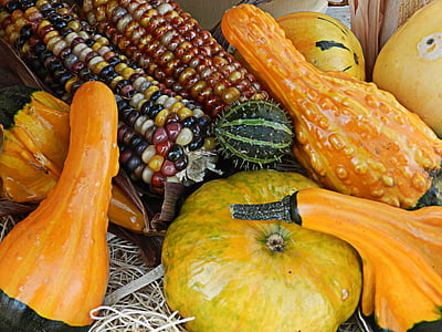 rudens, Ķirbīte, oktobris, kritums, tradicionālā, dārzenis, sezonas