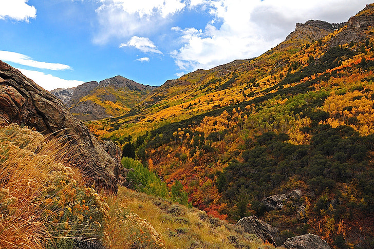 Nevada, planine, klanac, dolina, šuma, stabla, jesen