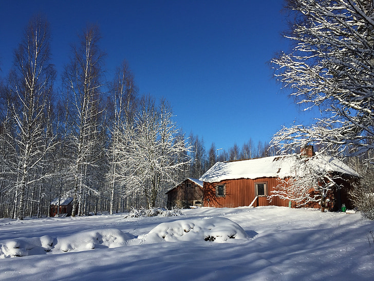 Farm, sne, Finland, blå himmel, sneklædte, blå himmel, vinter