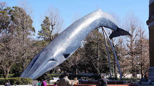 Whale, museet, skulptur