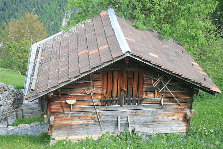 Chalet, Schweizer, Holz, Alpen, Schweiz, Alpine, Natur