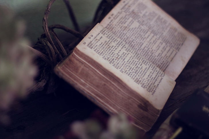 holy, book, bible, reading, religious, blur, text
