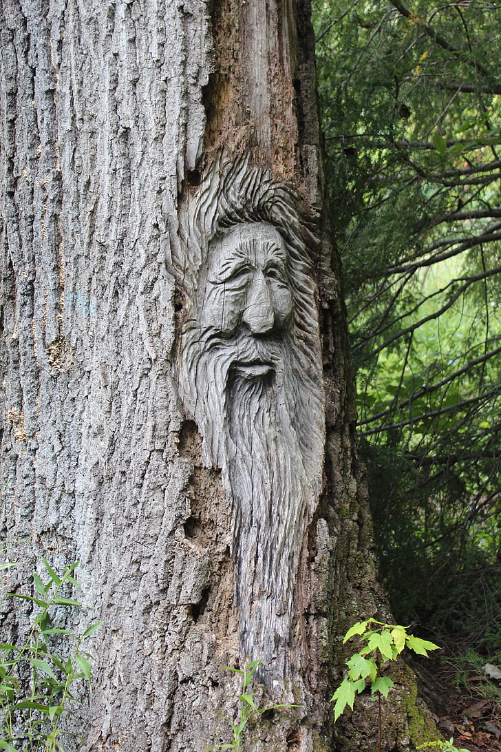 ansikte, träd, carving, trä