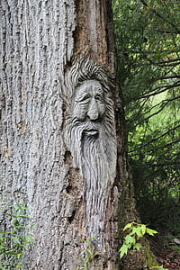 obličej, strom, řezbářské práce, dřevo