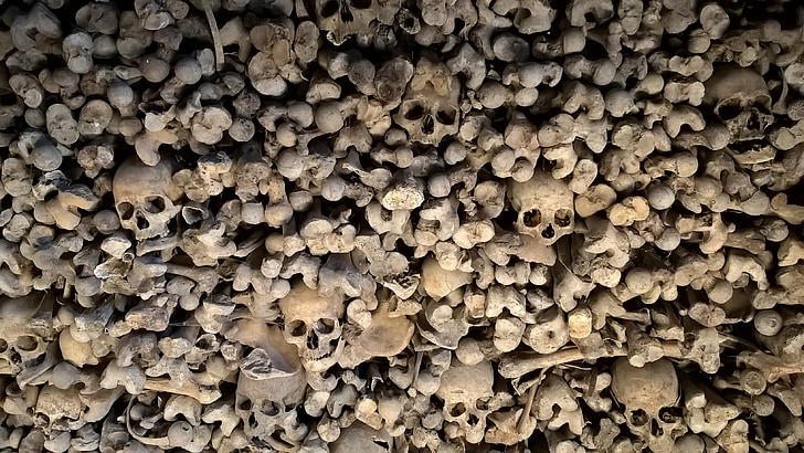 ossos, esquelet, crani, mort, casa charnel