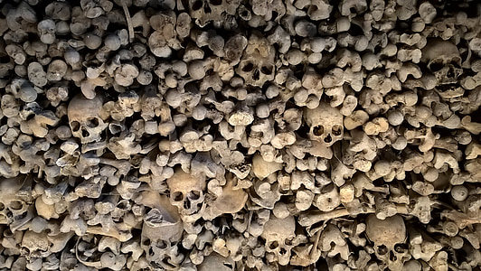 huesos, esqueleto, cráneo, muerte, osario