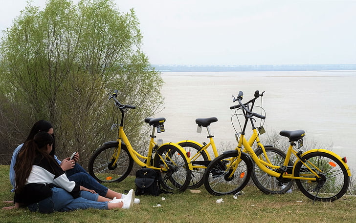 delade, våren, gula floden stranden, i utkanten av staden, cykel, personer, kvinnor