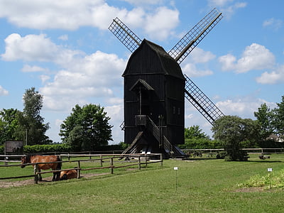 vindmølle, Mill, Mecklenburg, gamle, historie, landdistrikterne scene
