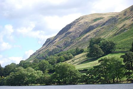 distrito do lago, Encosta, árvores, Cumbria, montanha, colina, natureza