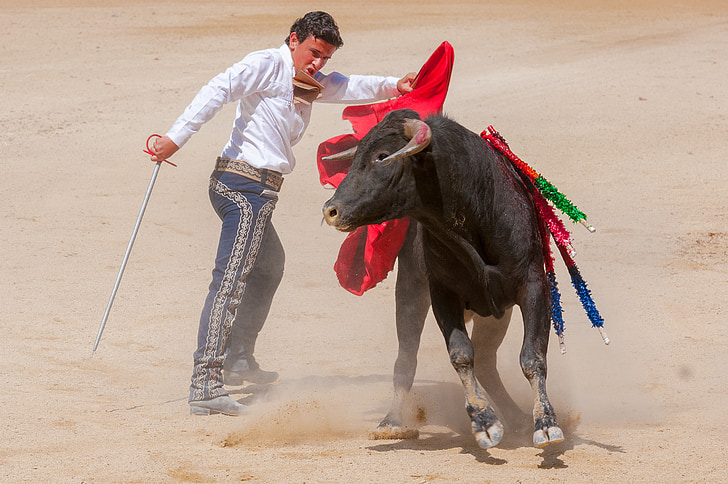 bolsin, course de taureaux, Bull, Arena, toreador, Feria, Beaucaire