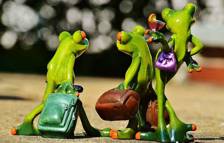 frogs, funny, travel, luggage, holdall, go away, holiday