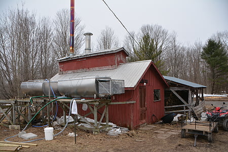 Ahornsukker, stald, Canada, Farm