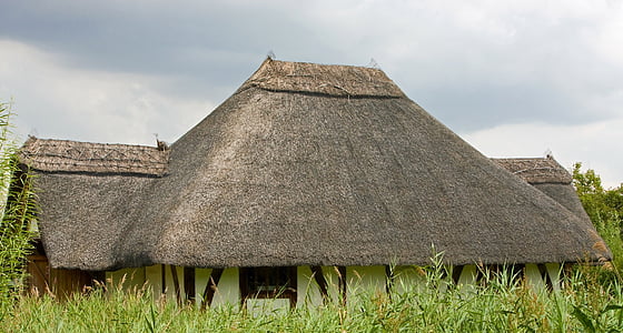 thatch roof, thatch, thatched, roof, close-up, details, image