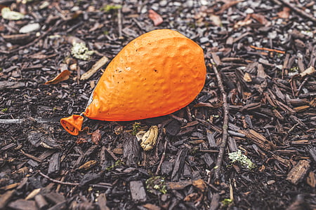 naranja, balón, desinflado, tierra, se pega, color naranja, naturaleza