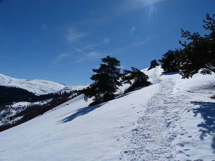 hiking, mountain, winter, snow, white, fir, alps