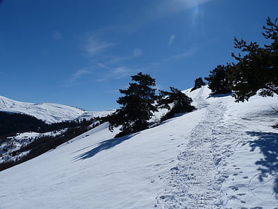 Hiking, Gunung, musim dingin, salju, putih, cemara, Alpen