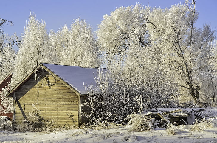 winter, old shed, hoarfrost, snow, rural, shed, nature