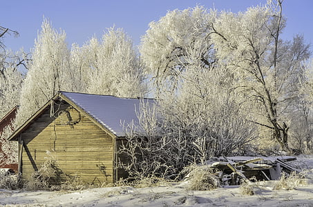 冬, 古い小屋, 霧氷, 雪, 農村, 小屋, 自然