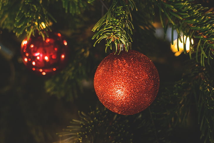 bola, cabang, Perayaan, Natal, Natal bola, dekorasi Natal, pohon Natal