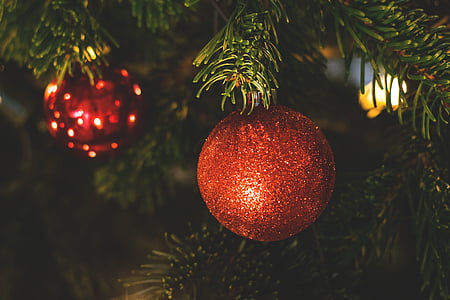 мяч, филиал, Празднование, Рождество, Рождественские шары, Рождественские украшения, Рождественская елка