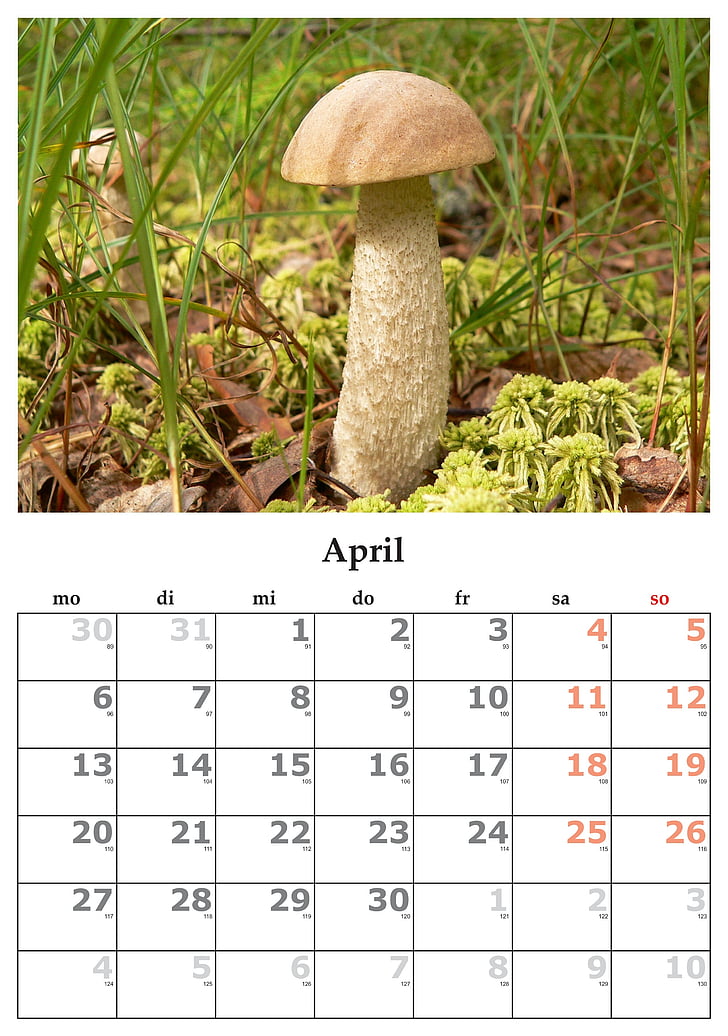 Calendar, lună, aprilie, aprilie 2015