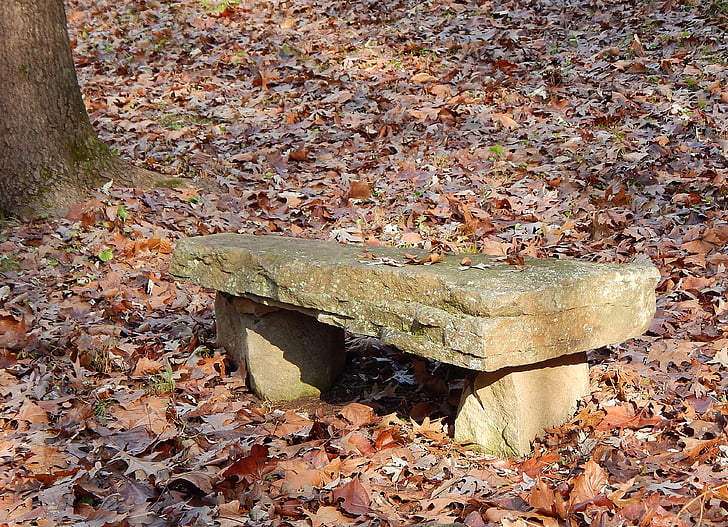 Каменная скамейка, Скамейка, камень, Природа, Осень, Осень, поздней осенью