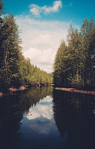Lacul, Înconjurat, verde, copaci, în timpul zilei, copac, apa