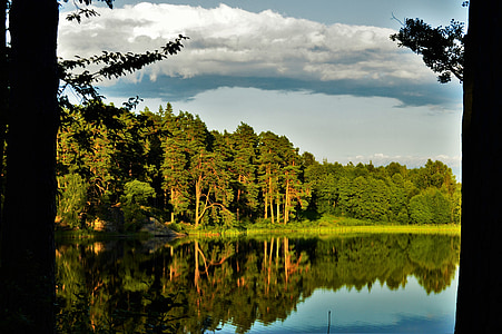 Les, voda, jezero, zrcadlení, léto, strom, Švédsko