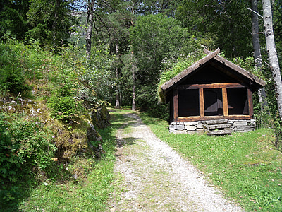 Norvegija, kraštovaizdžio, medienos, žalia, Gamta, vasaros, Vista