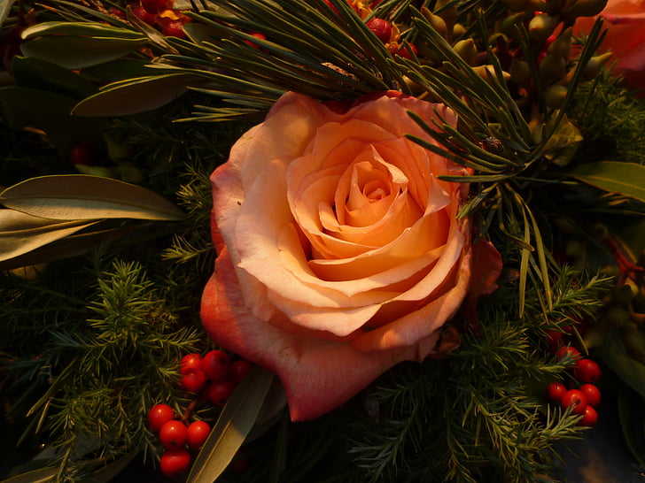 上升, 圣诞节, 花束, 植物, 浪漫, 玫瑰绽放