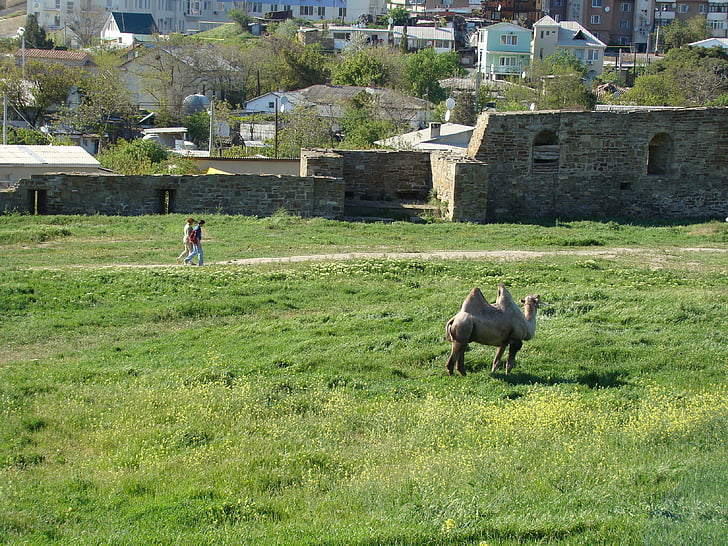 Crimea, Sudak và novy svet, pháo đài Genoese