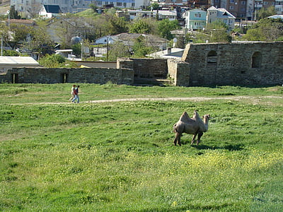 クリミア半島, sudak および novy svet, ジェノバの要塞