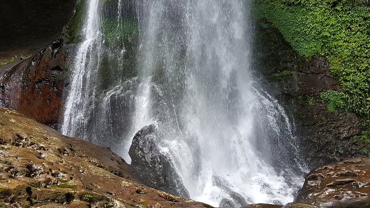 Falls, printemps, ruisseau de forêt de séquoia, vue panoramique sur