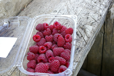 Raspberry, musim panas, alam, kayu, matang, Manis, Berry