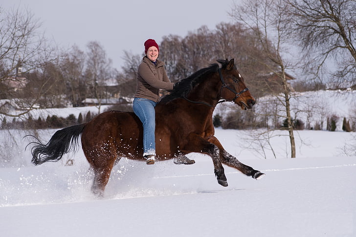 кон, Ride, Райтер, конен спорт, човешки, Западните, бяло