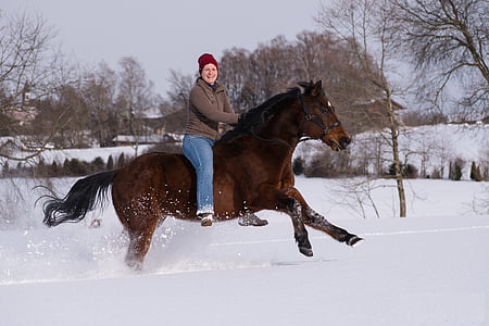 Koń, jeździć, Reiter, Jeździectwo, człowieka, zachodniej, biały