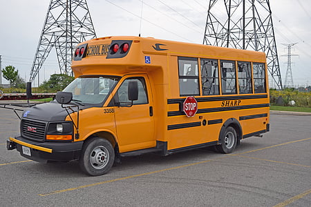 ônibus, laranja, escola, transporte, educação, veículo, transportes