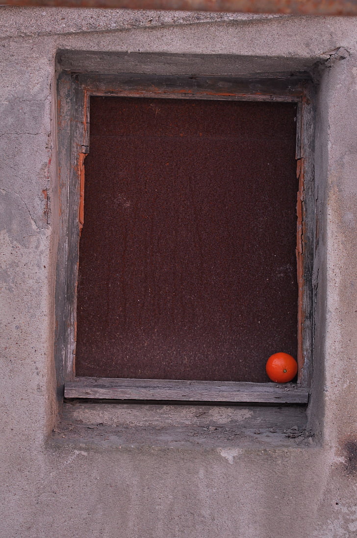janela, edifício, laranja, frutas