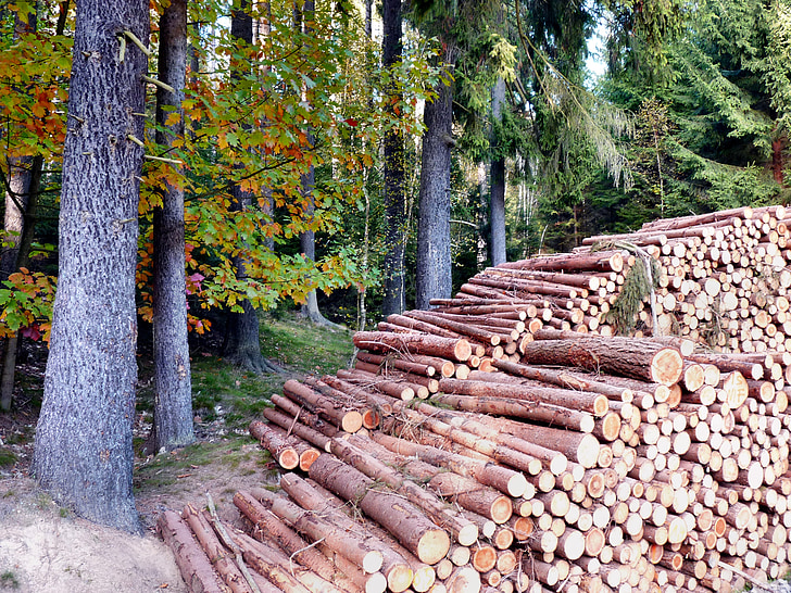 høst, holzstabel, fargerike