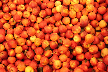pomes, vermell, Poma vermella, fruita, aliments, natura, Sa