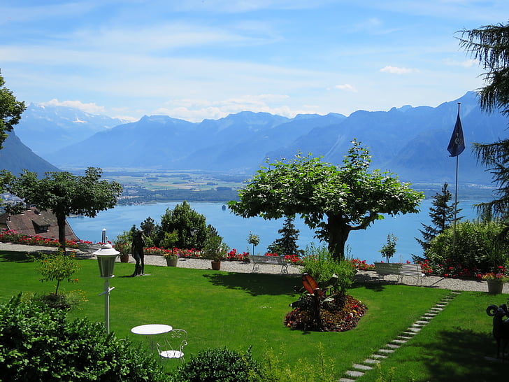 trädgård, Genèvesjön, Schweiz, Hotel victoria, Glion, Visa