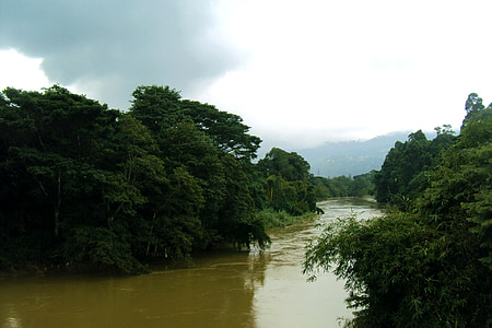 Río de Mahaweli, Río, árboles verdes, cielo, cielo nublado, Sri lanka, Ceilán
