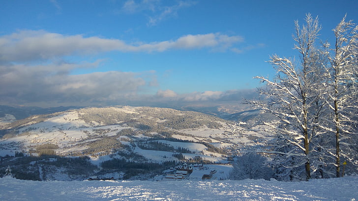 bjerge, vinter, skråninger, Karpaterne, skønhed