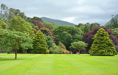 公園, parklandschaft, イングリッシュ ガーデン, lanschaftsgarten, アイルランド, キラーニー, 国立公園