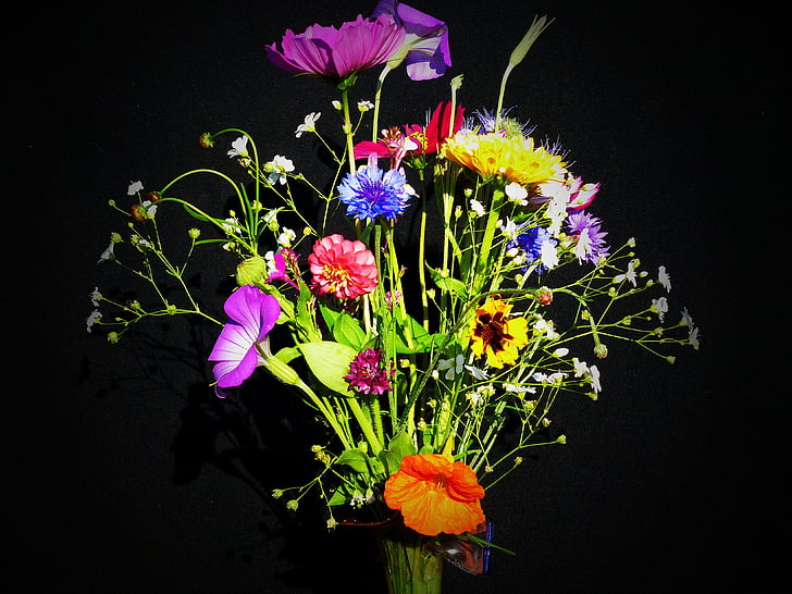 födelsedag bukett, vilda blommor, spetsiga bukett, blomma äng, bukett, Nasturtium, Marigold