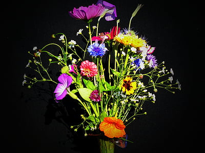 birthday bouquet, wildflowers, pointed bouquet, flower meadow, bouquet, nasturtium, marigold